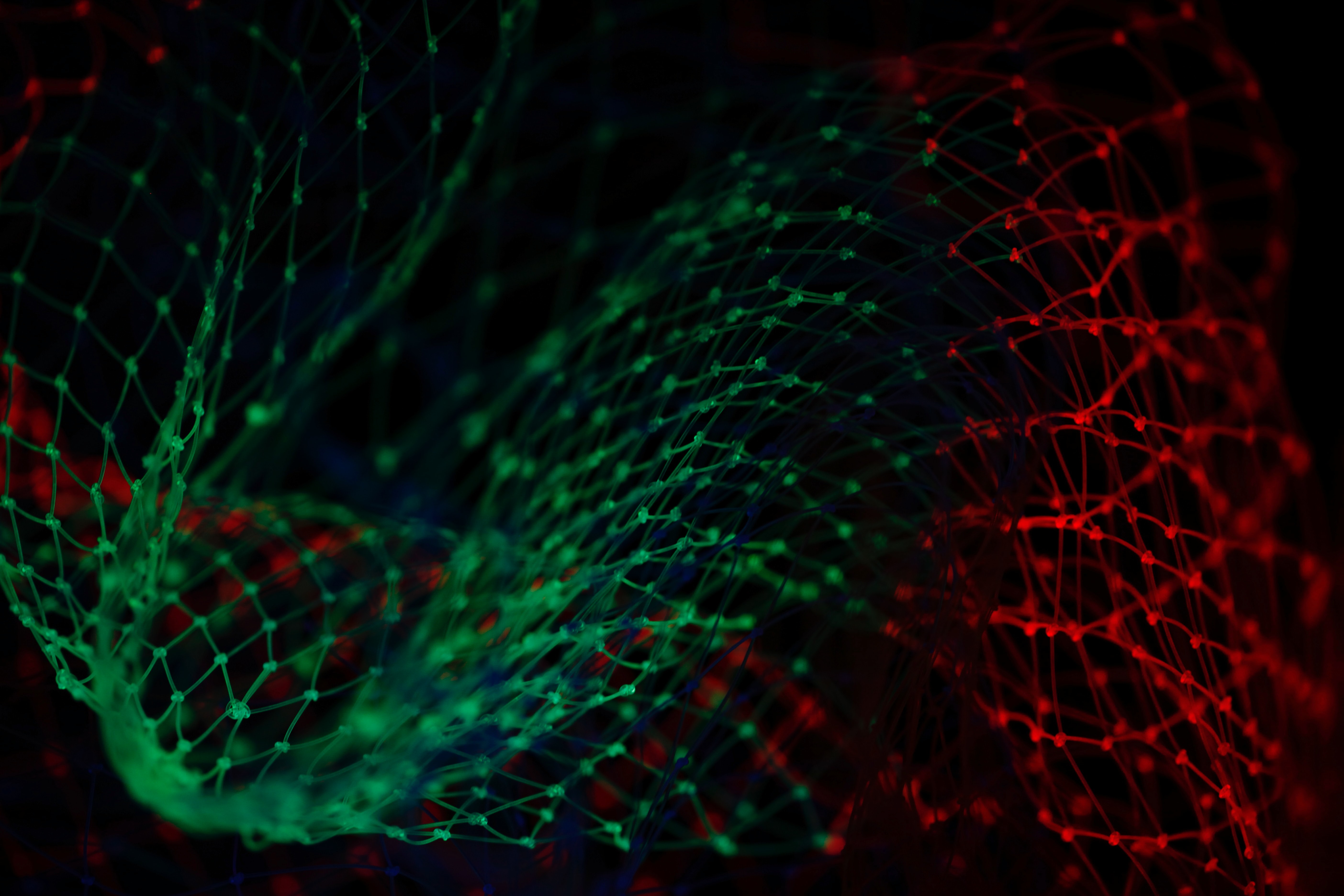 green and red web of lights in wave pattern