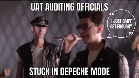 uat auditing officials